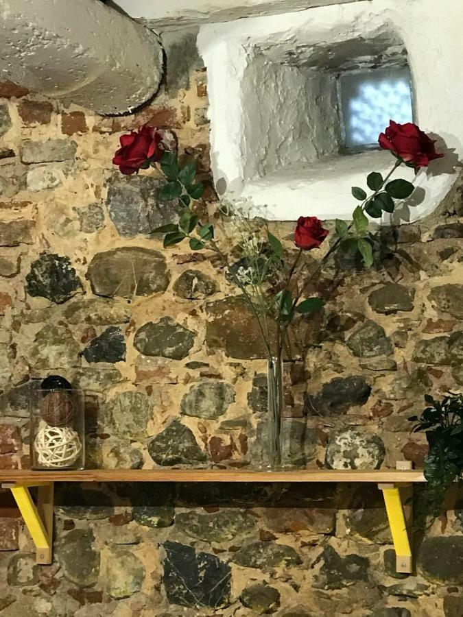 Le Rose Casa Della Ciri Apartment Firenze Bagian luar foto